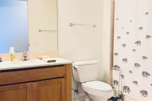 225 N Columbus Dr, Chicago, IL 60601 - Photo 12