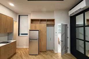 1118 S Western Ave, Chicago, IL 60612 - Photo 8
