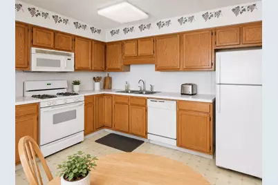 5320 N Lowell Avenue #205, Chicago, IL 60630 - Photo 10