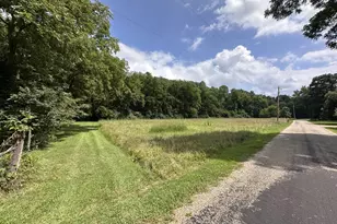 895 Thenius Rd, Sparland, IL 61565 - Photo 22