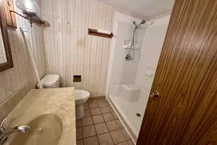 895 Thenius Rd, Sparland, IL 61565 - Photo 14