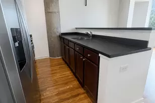 1001 W 15th St, Chicago, IL 60608 - Photo 10