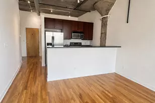 1001 W 15th St, Chicago, IL 60608 - Photo 6