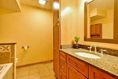 15231 S Meadow Lane, Plainfield, IL 60544 - Photo 14
