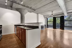 1150 W 15th St, Chicago, IL 60608 - Photo 12