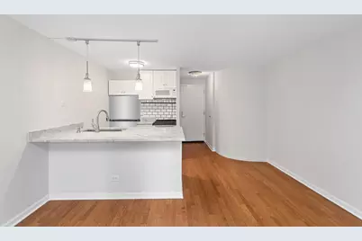 1221 N Dearborn Parkway #806S, Chicago, IL 60610 - Photo 2