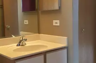 484 Littleton Trail, Elgin, IL 60120 - Photo 26