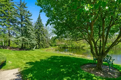 14337 S Provencal Drive, Homer Glen, IL 60491 - Photo 46