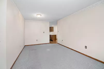 165 Keigher Drive, Manteno, IL 60950 - Photo 4