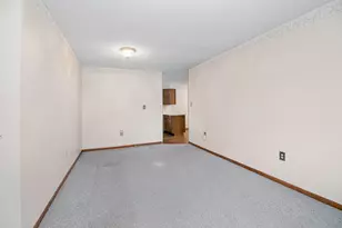 165 Keigher Dr, Manteno, IL 60950 - Photo 4