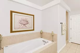 1555 S Paul Le Comte Ct, Palatine, IL 60067 - Photo 20