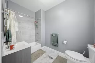 437 W 44th Pl, Chicago, IL 60609 - Photo 14
