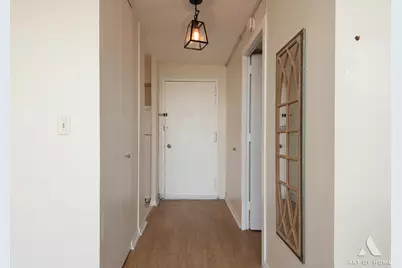 3001 S Michigan Avenue #2406, Chicago, IL 60616 - Photo 10
