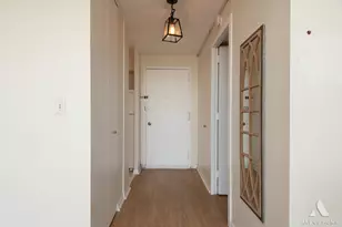 3001 S Michigan Ave, Chicago, IL 60616 - Photo 10