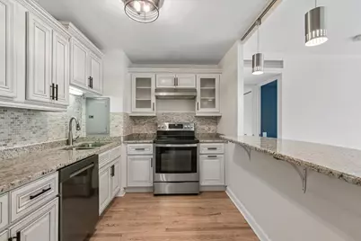 260 E Chestnut Street #2505, Chicago, IL 60611 - Photo 6