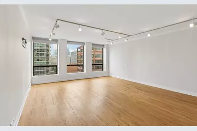 260 E Chestnut Street #2505, Chicago, IL 60611 - Photo 2