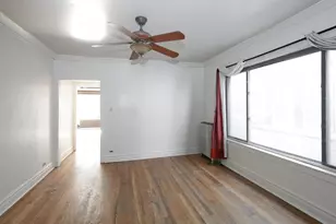 3833 S Damen Ave, Chicago, IL 60609 - Photo 10