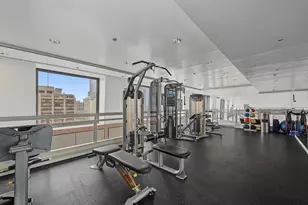 161 E Chicago Ave, Chicago, IL 60611 - Photo 28