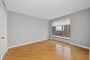 161 E Chicago Ave, Chicago, IL 60611 - Photo 24