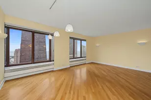 161 E Chicago Ave, Chicago, IL 60611 - Photo 24