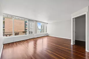 [Address not provided], Chicago, IL 60610 - Photo 4