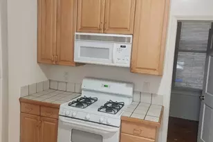 708 S Ada St, Chicago, IL 60607 - Photo 38