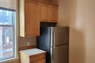 708 S Ada St, Chicago, IL 60607 - Photo 32
