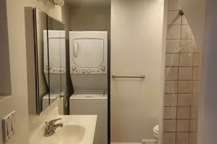 708 S Ada St, Chicago, IL 60607 - Photo 42
