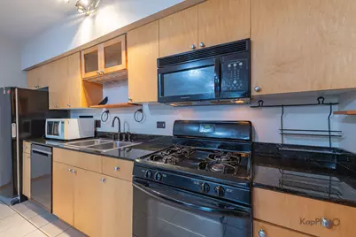 519 S Maplewood Avenue #1W, Chicago, IL 60612 - Photo 10