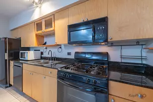 519 S Maplewood Ave, Chicago, IL 60612 - Photo 10