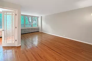 222 E Pearson St, Chicago, IL 60611 - Photo 6