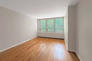 222 E Pearson St, Chicago, IL 60611 - Photo 8