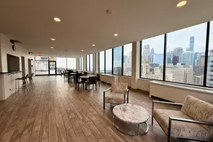 222 E Pearson St, Chicago, IL 60611 - Photo 14