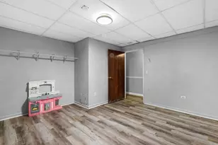 4909 Spencer Ave, Lisle, IL 60532 - Photo 28