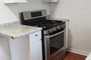 4252 W Henderson St, Chicago, IL 60641 - Photo 8
