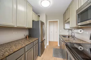 1355 N Sandburg Terrace, Chicago, IL 60610 - Photo 10