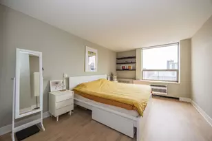 1355 N Sandburg Terrace, Chicago, IL 60610 - Photo 12