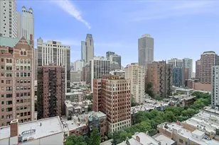 1150 N Lake Shore Dr, Chicago, IL 60611 - Photo 4