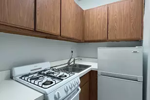 3727 N Pine Grove Ave, Chicago, IL 60613 - Photo 2