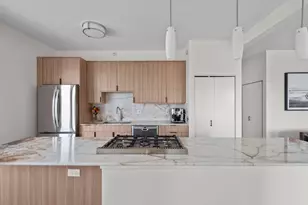 545 N Dearborn St, Chicago, IL 60654 - Photo 8