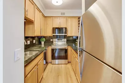 435 W Erie Street #701, Chicago, IL 60654 - Photo 12