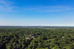 8623 S Roma Rd, Palos Park, IL 60464 - Photo 40