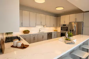 600 N Lake Shore Dr, Chicago, IL 60611 - Photo 14