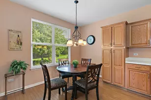 11936 Tuliptree Ln, Huntley, IL 60142 - Photo 8