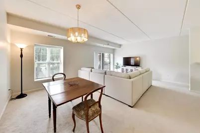 410 W Mahogany Court #205, Palatine, IL 60067 - Photo 6