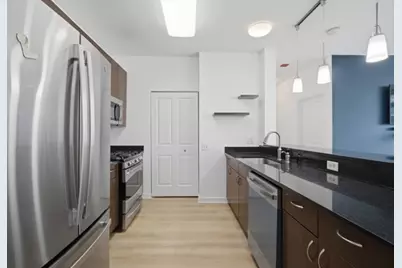 757 N Orleans Street #1012, Chicago, IL 60654 - Photo 8