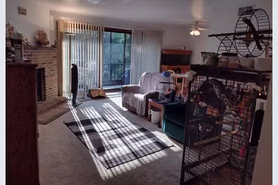 9165 North Road #F, Palos Hills, IL 60465 - Photo 4