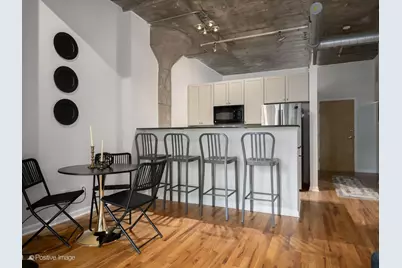 1070 W 15th Street #309, Chicago, IL 60608 - Photo 8