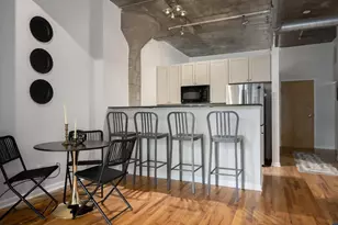 1070 W 15th St, Chicago, IL 60608 - Photo 8