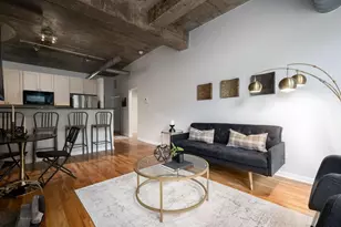 1070 W 15th St, Chicago, IL 60608 - Photo 6
